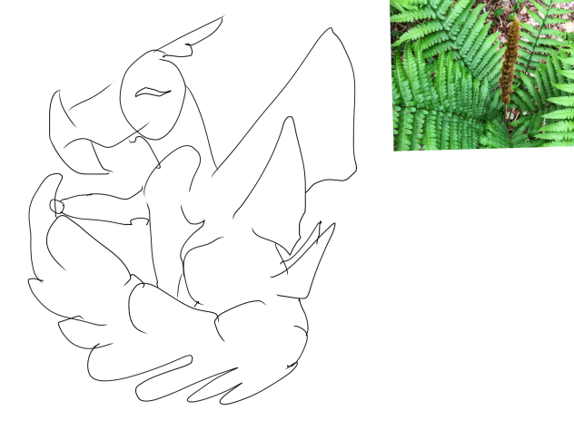 Fern