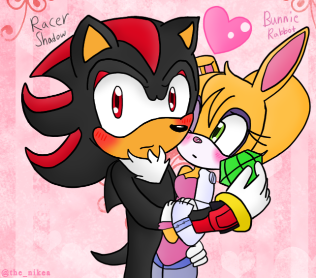Racer Shadow x Bunnie Rabbot (Shunnie)