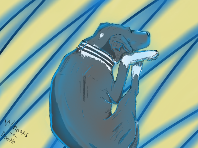 Speed Drawing Of My Dog Deja!!