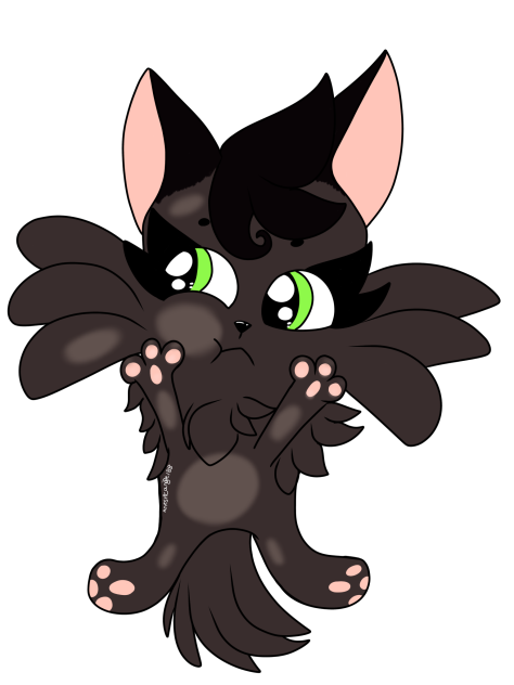 Cat Game The Cat Collector - Black - Spe