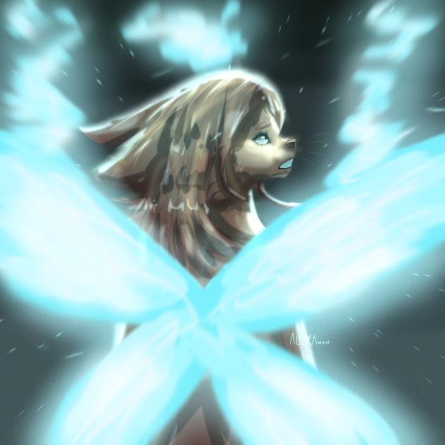 Drawn by the stars