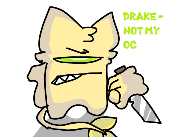 Drake - Lena Wallets oc (remake)