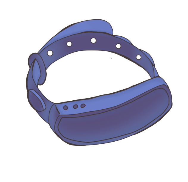 Concert WristBand 1