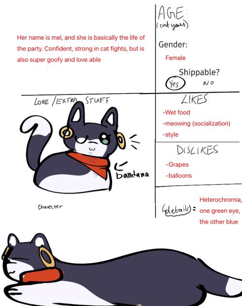 Cs for cat empire ✨