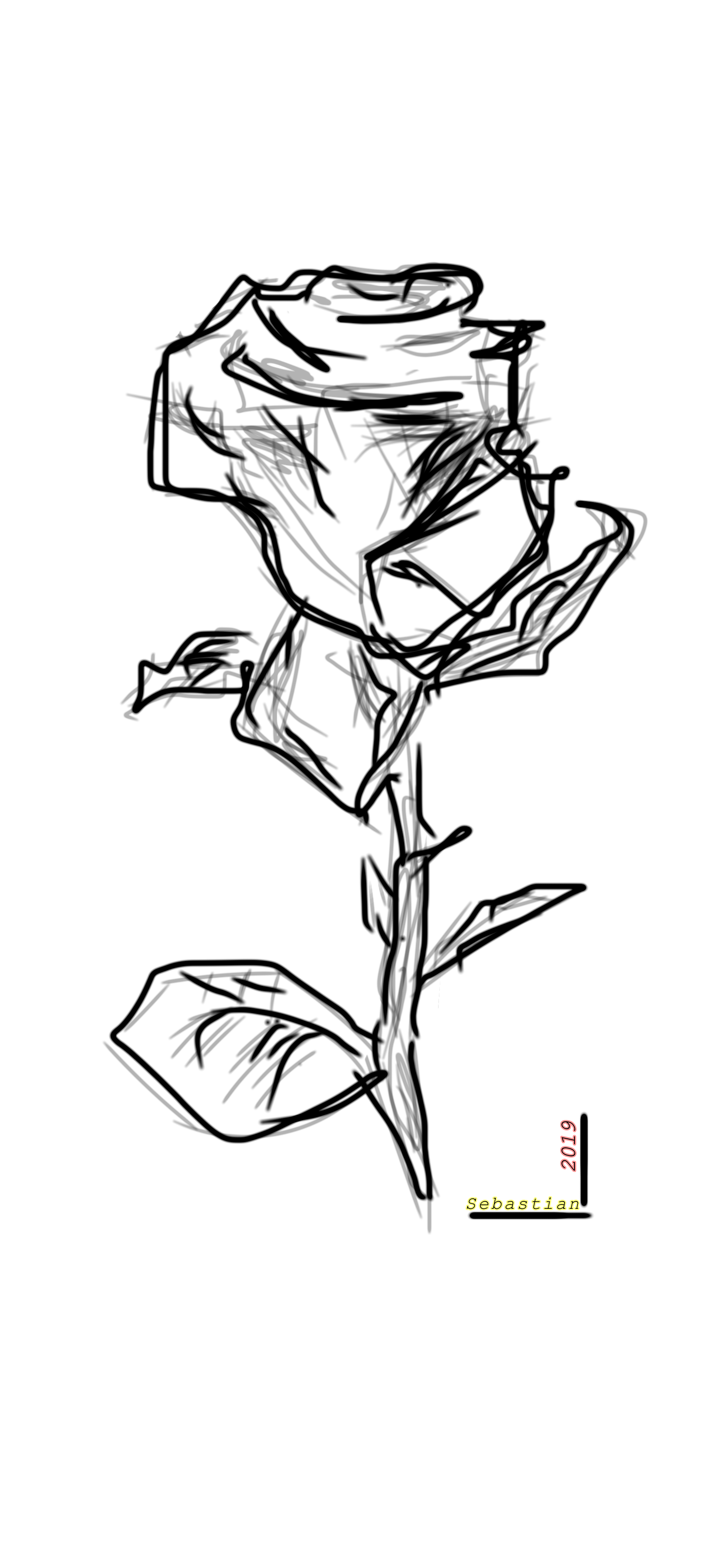 𝚁𝚘𝚜𝚎 ibisPaint