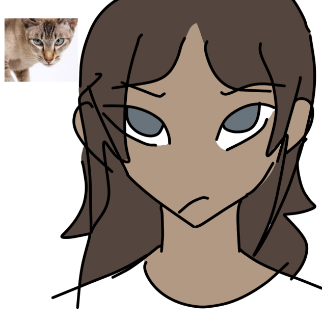Cat theory