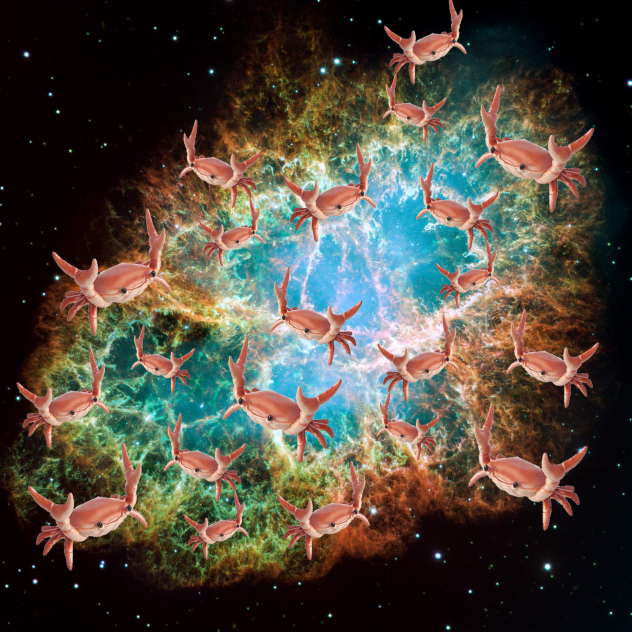 Crab Nebula