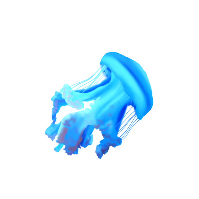jellyfish