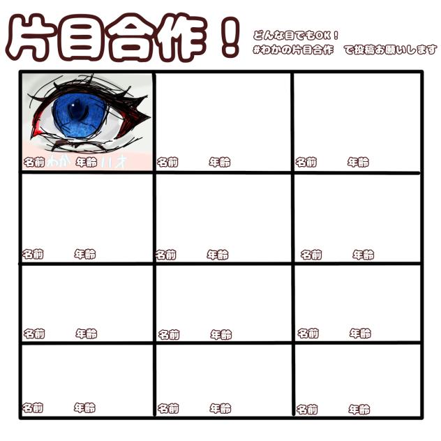 片目合作です！