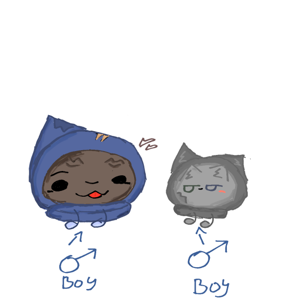 Dog x cat 🥰