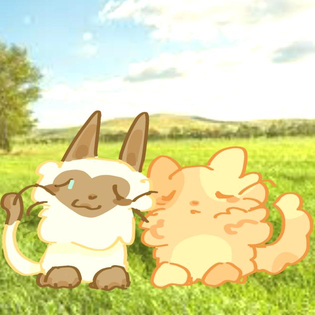 field