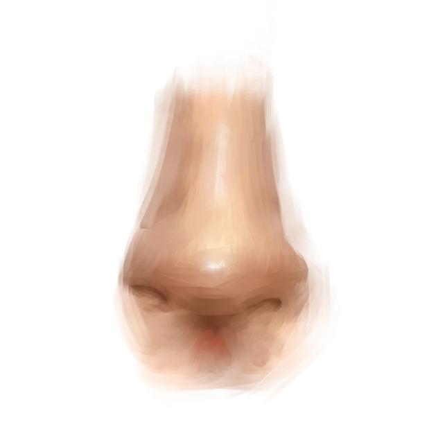nose