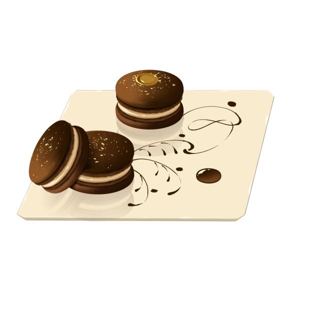 Gourmet Macarons