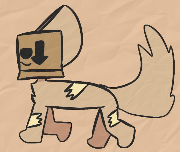 boxling concept