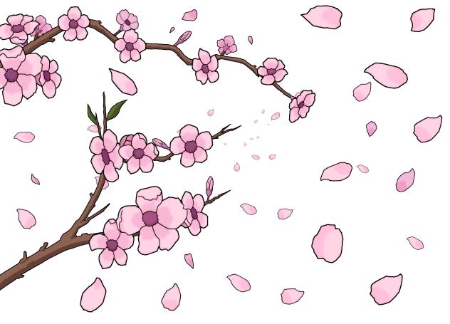 Cherry Blossom Effect