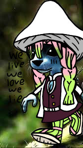 We live we love we lie