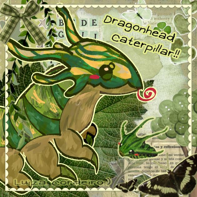 DRAGONHEAD CATERPILLAR!!