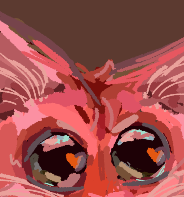 Cat - ibisPaint