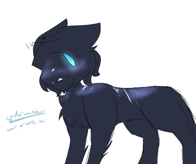 Spiderwatcher - Warrior Cats OC