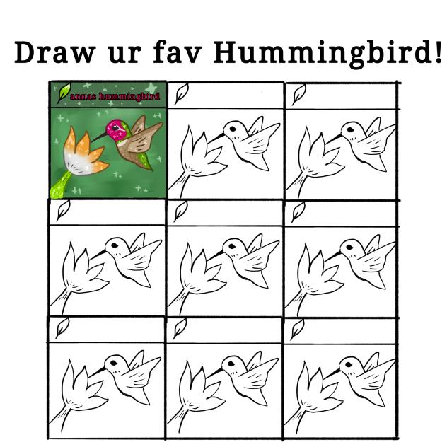 draw ur hummingbird!