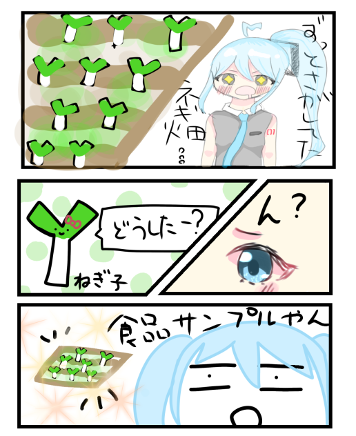 ネギ畑
