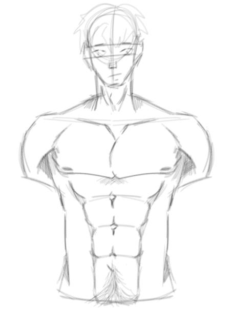 men torso - ibisPaint
