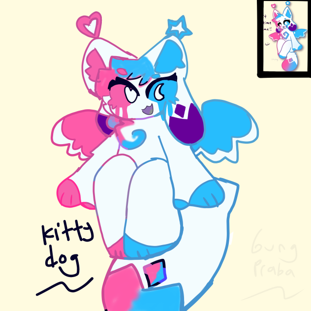 Kitty dog