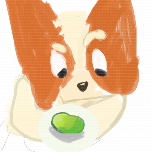 Bingo is suspicious about the bean