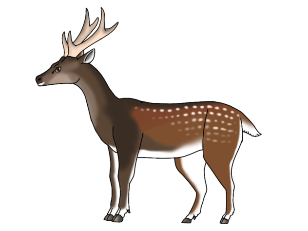 Visayan Spotted Deer2