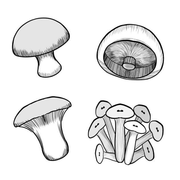 mushrooms