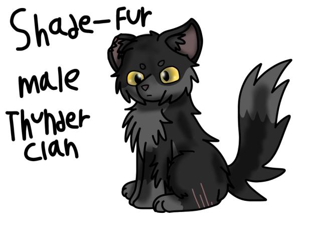 Warrior Cats. ShadeFur.