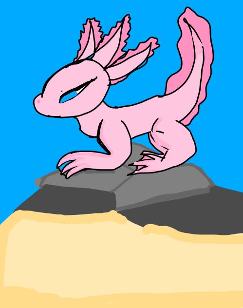 Axolotl