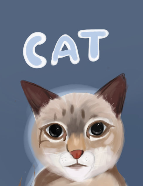 cute little kitty