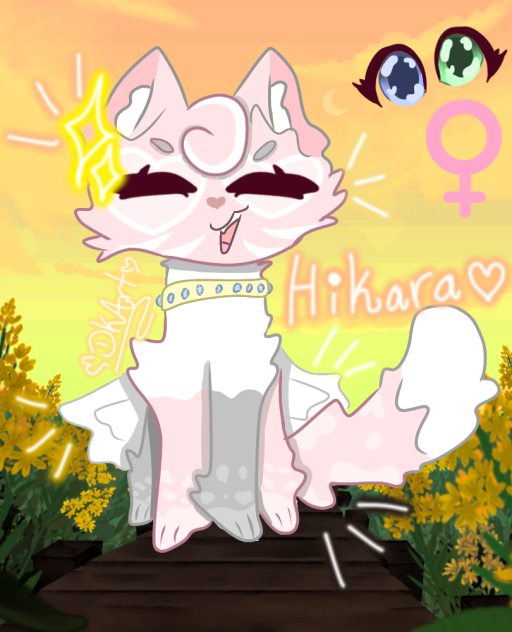 Hikara-Chan~