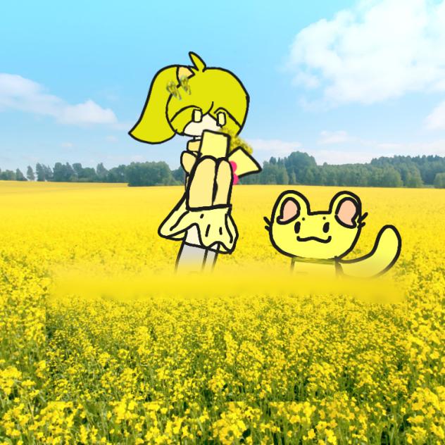 Canola Girl ଘ( ᐛ ) ଓ