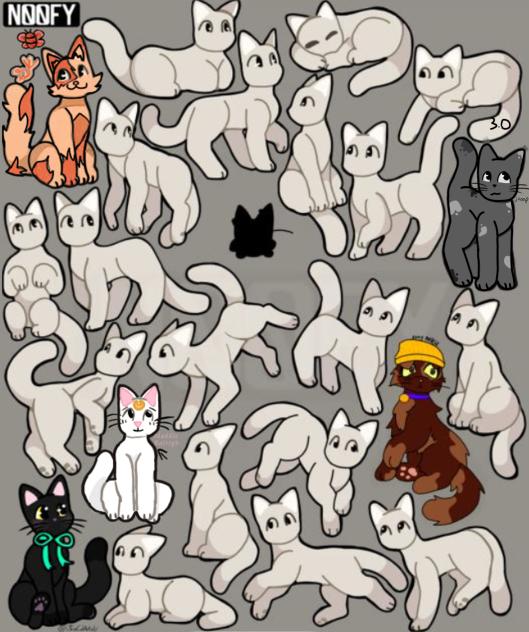 Cat collab 🐱
