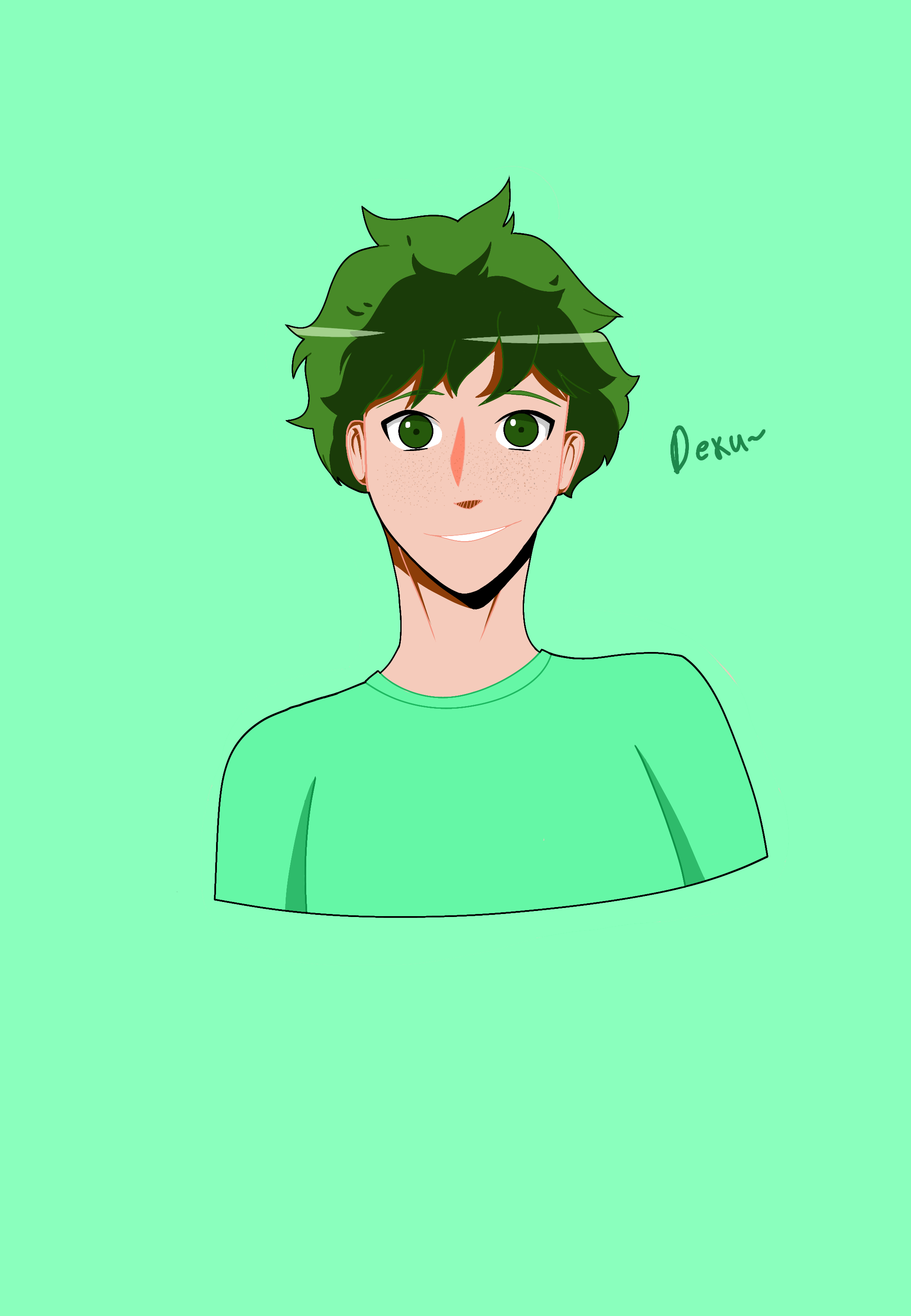 Deku ibisPaint