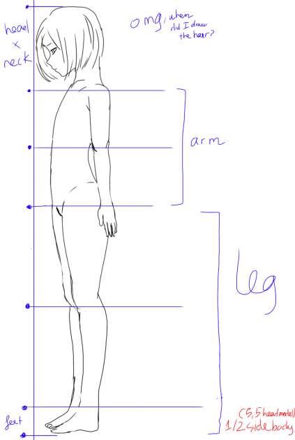 0,5 side (5,5 heads model)