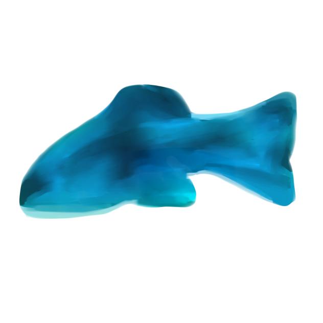 GUMMY SHARK!!!!
