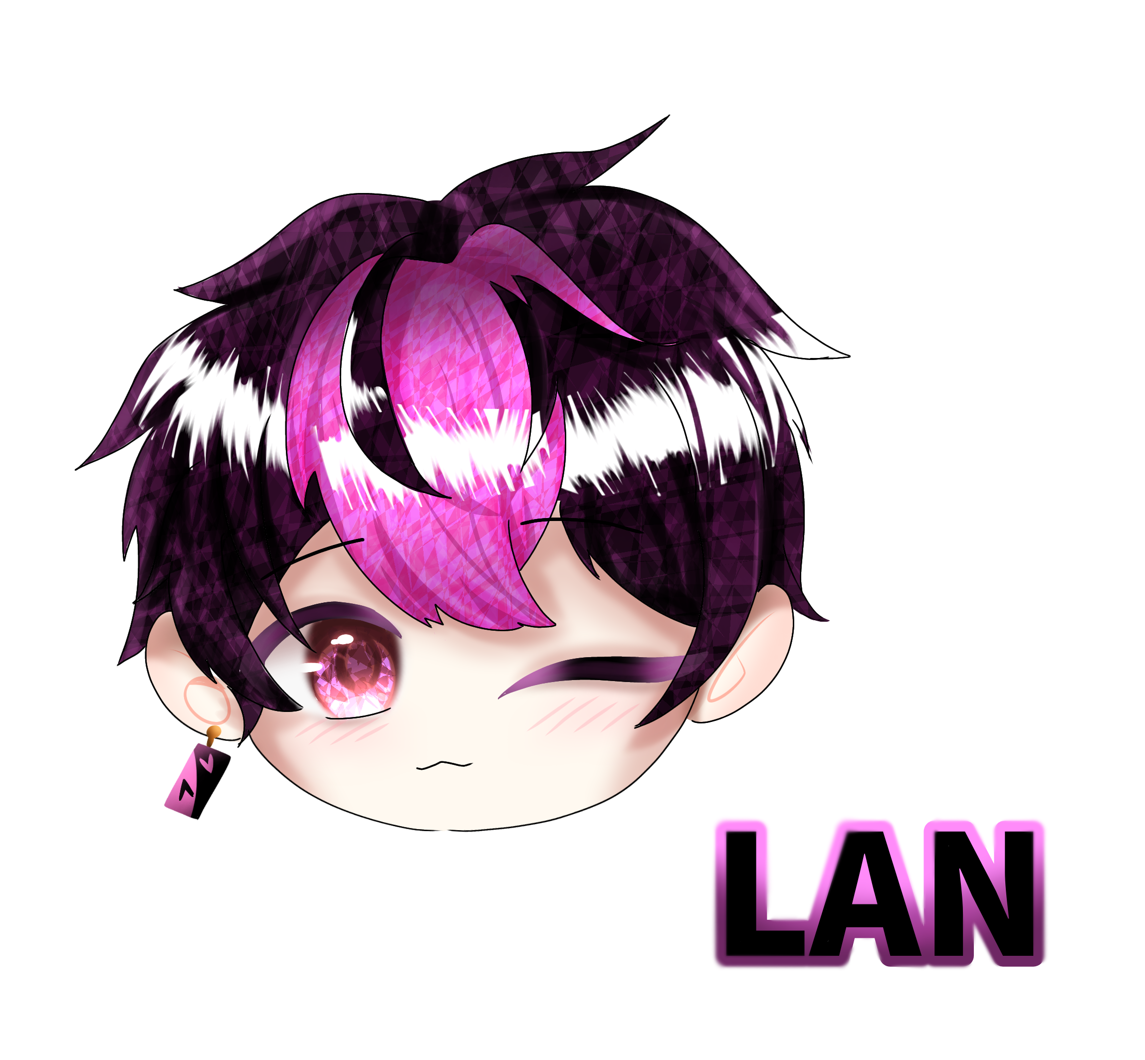 LAN - ibisPaint