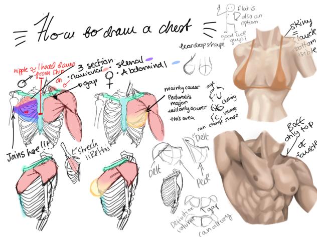 How to draw Chesticles