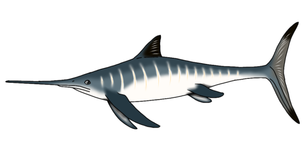 Eurhinosaurus longirostris render