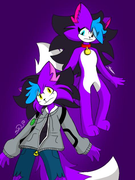 Sheyka y Sheyko