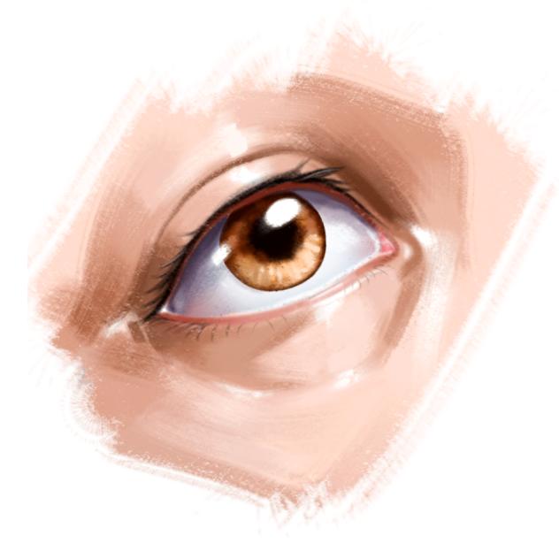 Eye