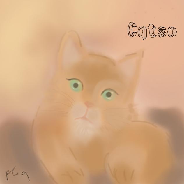 Catso