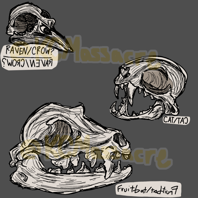 bones.