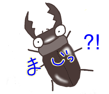 beetle and friends