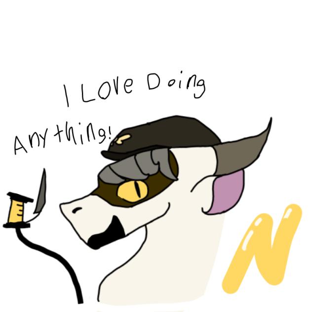 N dragon XD