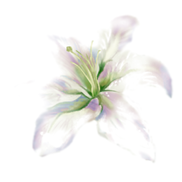 Wedding Flower