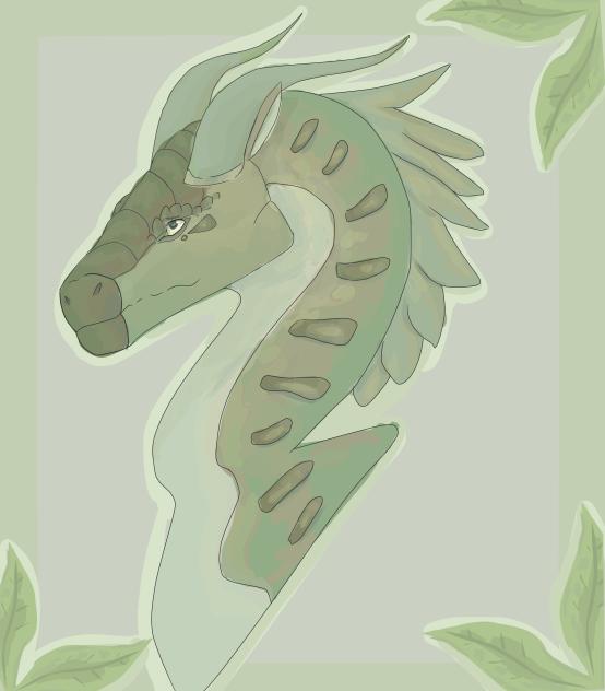 Third place DTIYS prize